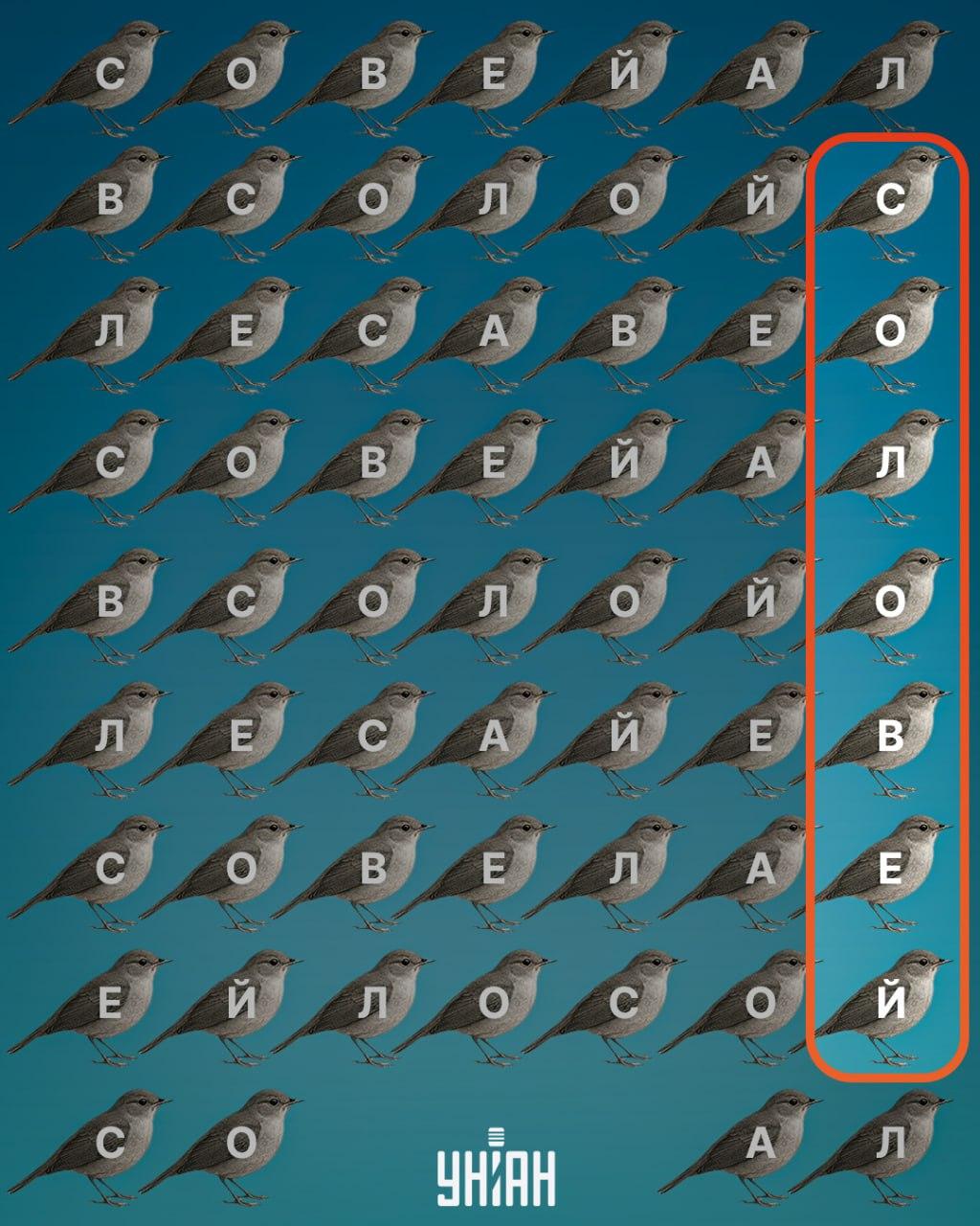 Moje koliažas Moje koliažas