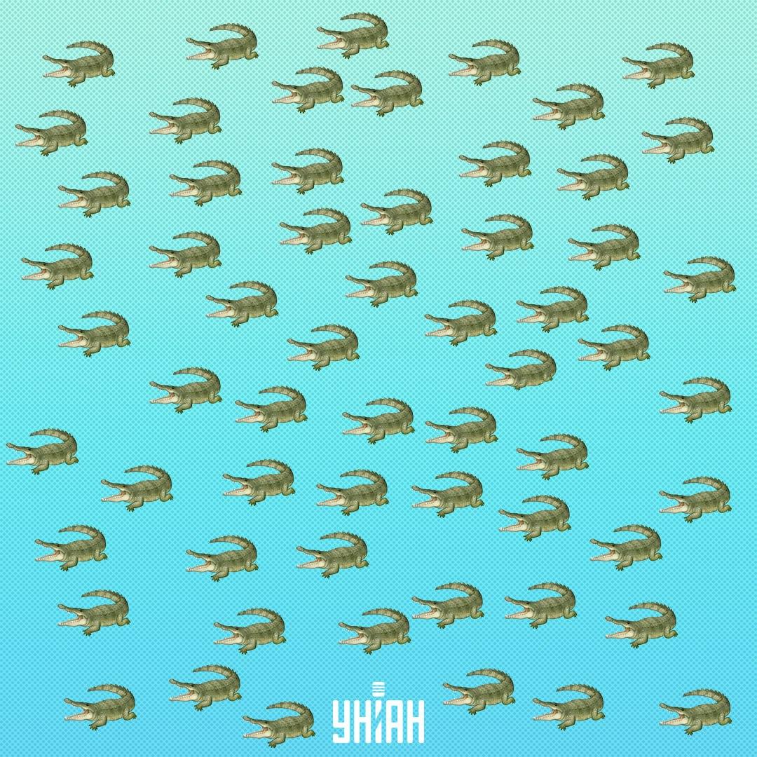 Roplys pasislėpė, bet jį reikėtų pamatyti per 15 sekundžių / Moje Koliažas Roplys yra paslėptas, bet turėtumėte jį pamatyti per 15 sekundžių / Koliažas Moje