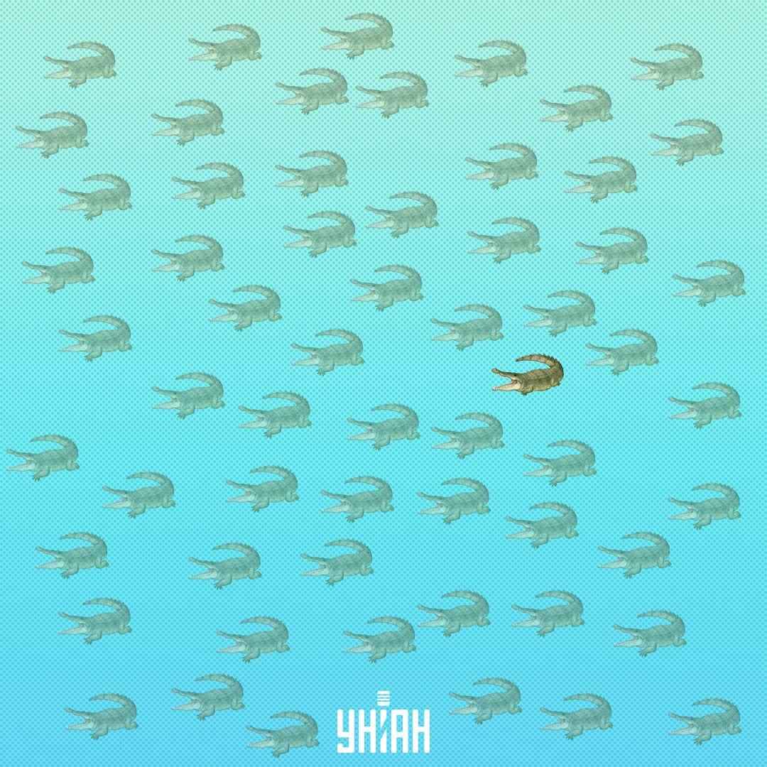 Jo reikėjo ieškoti arčiau centro, dešinėje pusėje / Moje Collage Jis turėtų būti arčiau centro, dešinėje pusėje / Moje Collage