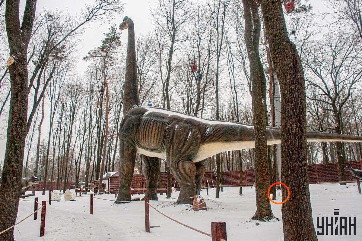 Šuo buvo prie apatinio kairiojo nuotraukos kampo / Moje koliažas