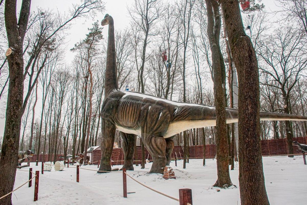 Suraskite šunį sniege per 10 sekundžių / Moje koliažas