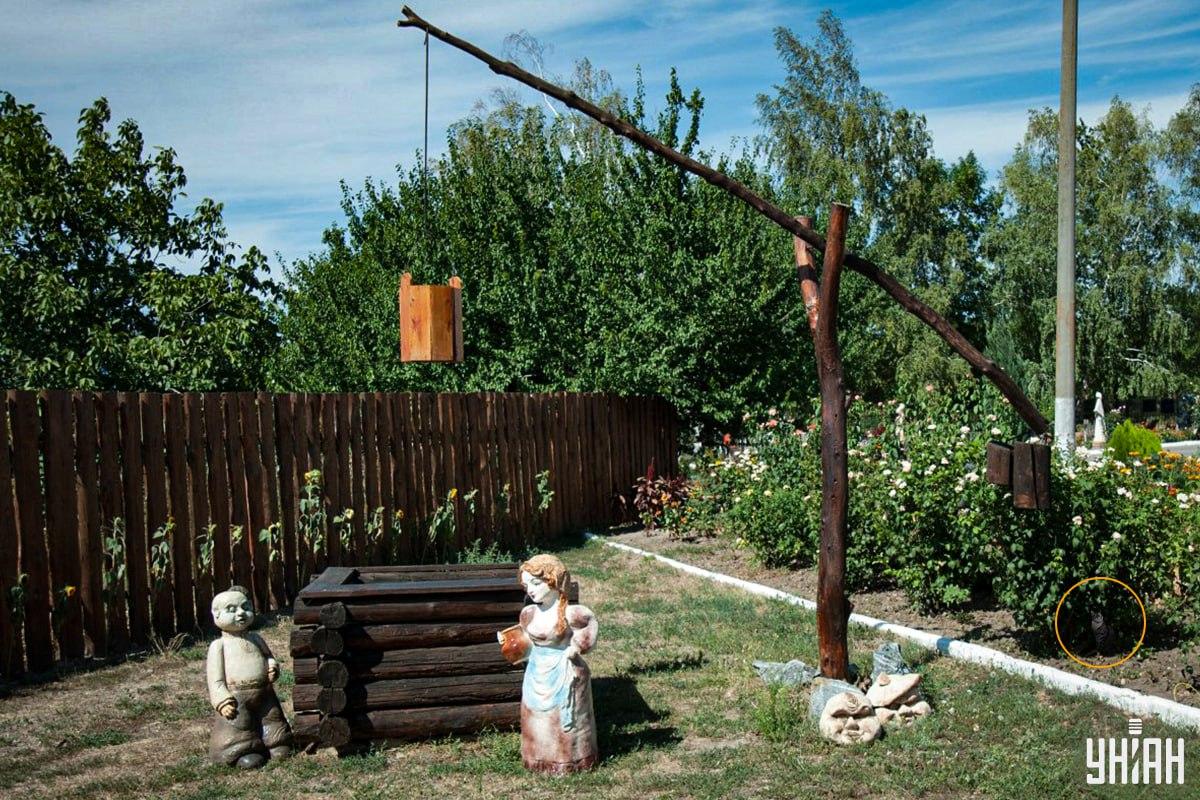 Katė buvo gėlyne / koliažas Moje Katė buvo gėlyne / Moje koliažas