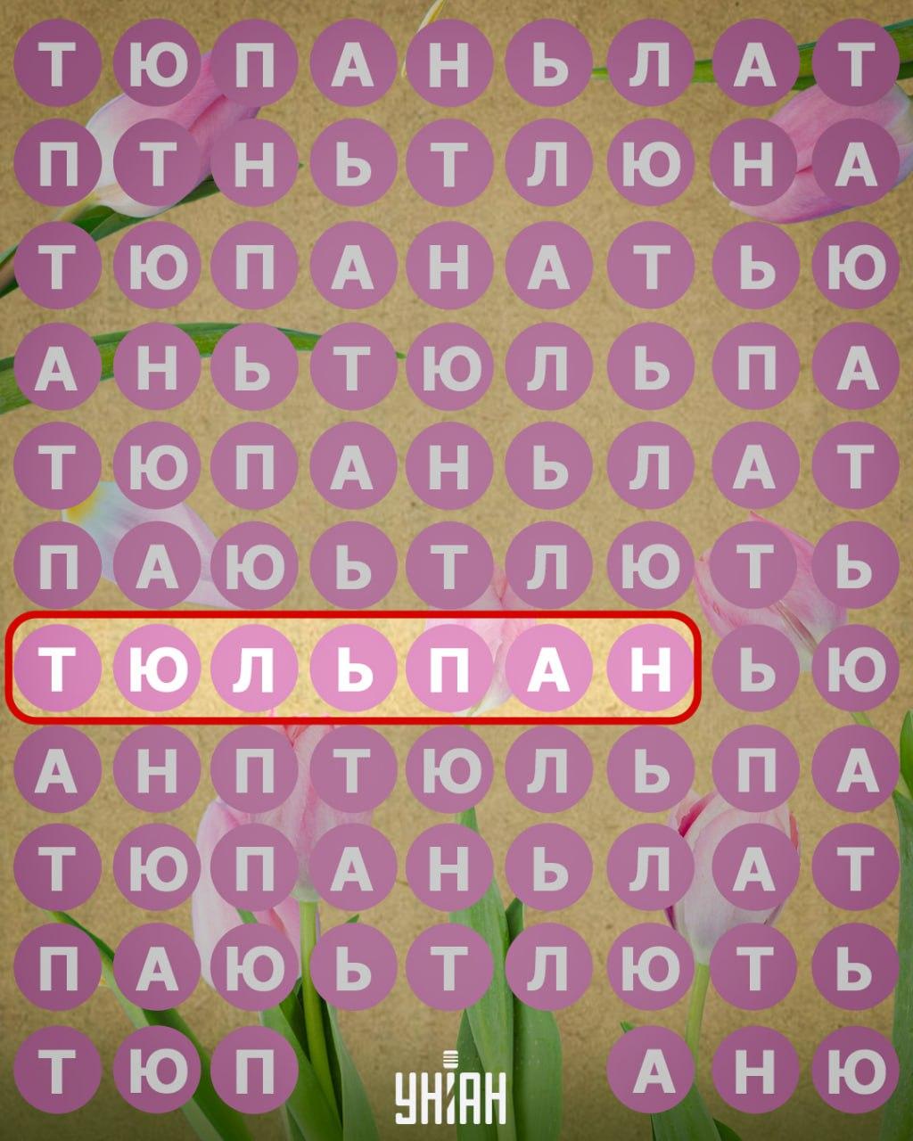 / Moje koliažas / Moje koliažas