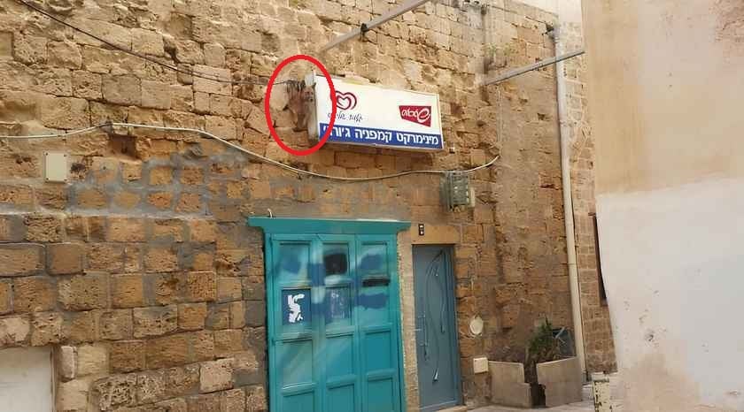 Optinė iliuzija Optinė iliuzija