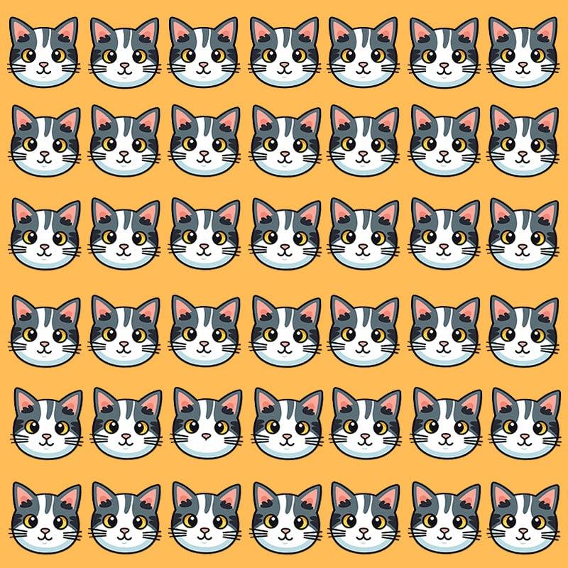 Ši optinė iliuzija įmanoma tik grandiozinį IQ turintiems žmonėms / Moje nuotr. Ši optinė iliuzija įmanoma tik grandiozinį IQ turintiems žmonėms / Moje nuotr.