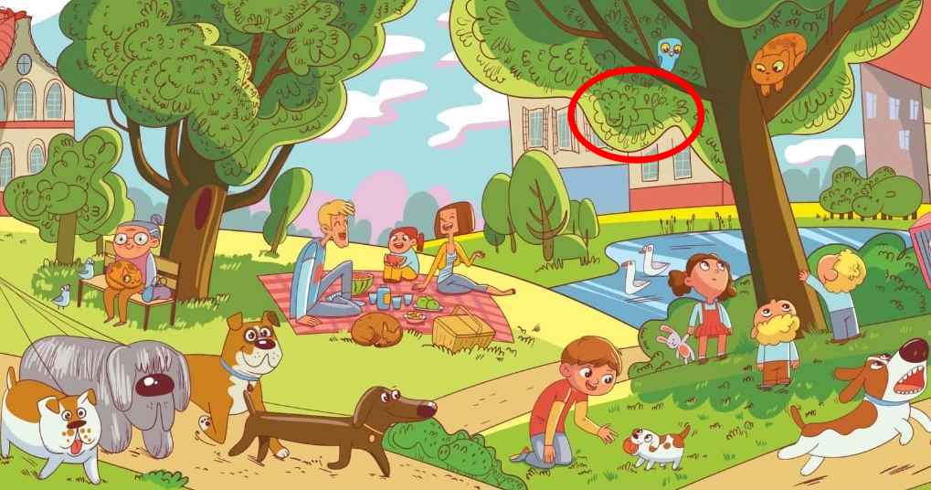 Šią užduotį gali atlikti tik nedaugelis: per 6 sekundes parke reikia surasti liūtą. Šią užduotį gali atlikti tik nedaugelis: per 6 sekundes reikia surasti liūtą parke.