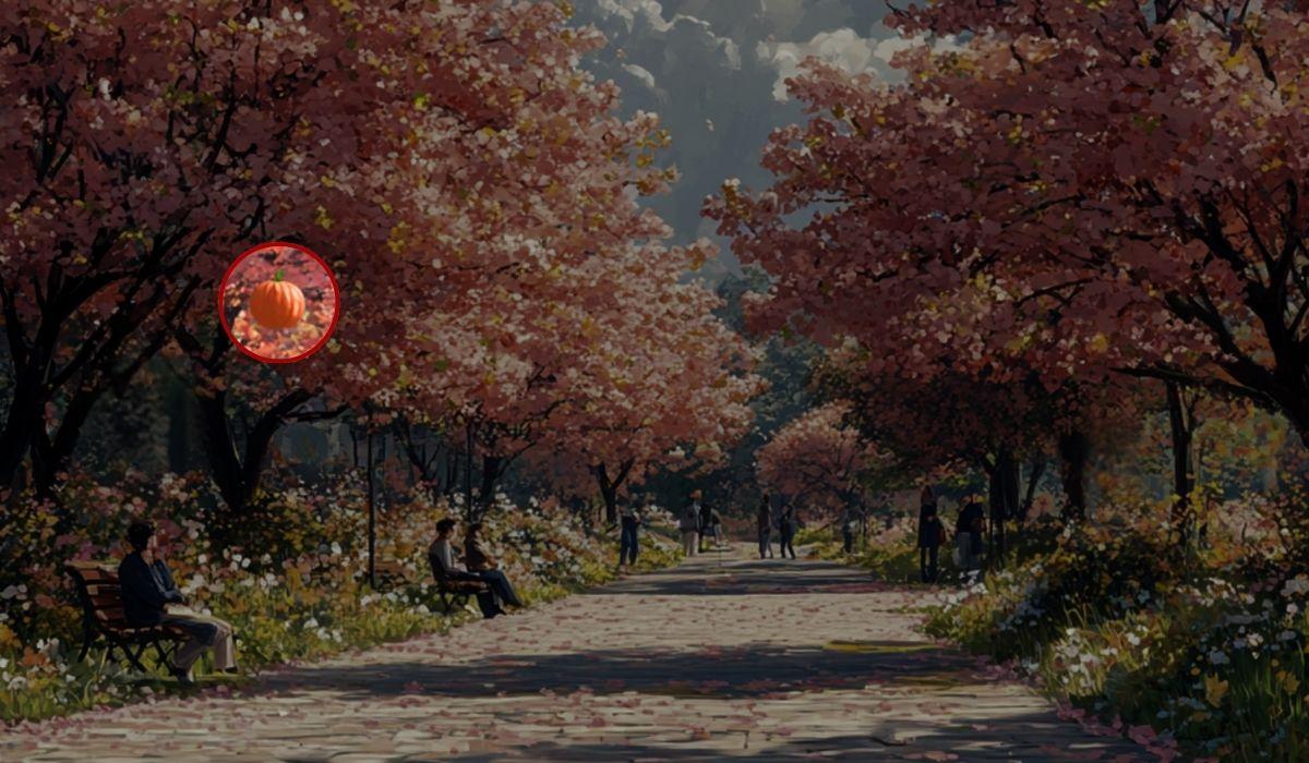 Moje koliažas Moje koliažas