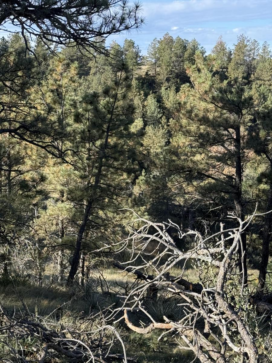 Ekrano nuotrauka Ekrano nuotrauka