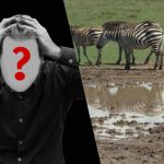 Greitas IQ testas: suraskite šunį lauke per 6 sekundes Greitas IQ testas: suraskite šunį lauke per 6 sekundes