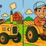 IQ testas: per 75 sekundes suraskite 3 skirtumus traktorininko paveikslėliuose IQ testas: per 75 sekundes suraskite 3 skirtumus traktorininko paveikslėliuose