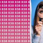 Jūsų intelekto koeficientas yra aukštas, jei galite greitai rasti skaičių 888 tarp šimtų kitų. Jūsų intelekto koeficientas yra aukštas, jei galite greitai rasti skaičių