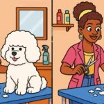 Kur yra trys skirtumai tarp moterų su šuniuku: sunkiausia dėlionė, skirta patikrinti jūsų dėmesio trukmę Kur yra trys skirtumai tarp moterų su šuniuku: sunkiausia dėlionė,