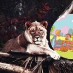 Šią užduotį gali atlikti tik nedaugelis: per 6 sekundes parke turite surasti liūtą. Šią užduotį gali atlikti tik nedaugelis: per 6 sekundes parke