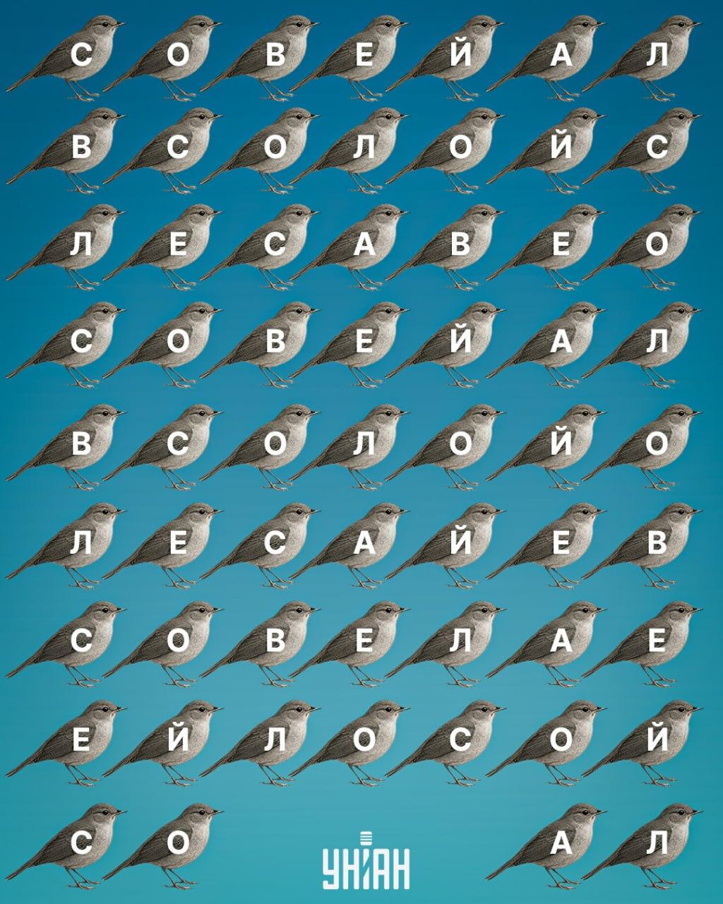 Moje koliažas Moje koliažas