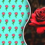 Tik genijus per 5 sekundes rastų keistą rožę: mįslė jūsų pastabumui patikrinti Tik genijus per 5 sekundes rastų keistą rožę: mįslė jūsų