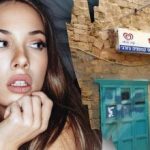 Tik genijus per 7 sekundes gatvėje rastų šunį: sudėtinga optinė iliuzija Tik genijus per 7 sekundes gatvėje rastų šunį: sudėtinga optinė