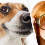 Tik tikras IQ titanas per 10 sekundžių pamatys šunį sniege: