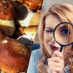 Tik žmonės, kurių intelekto koeficientas itin aukštas, per 15 sekundžių