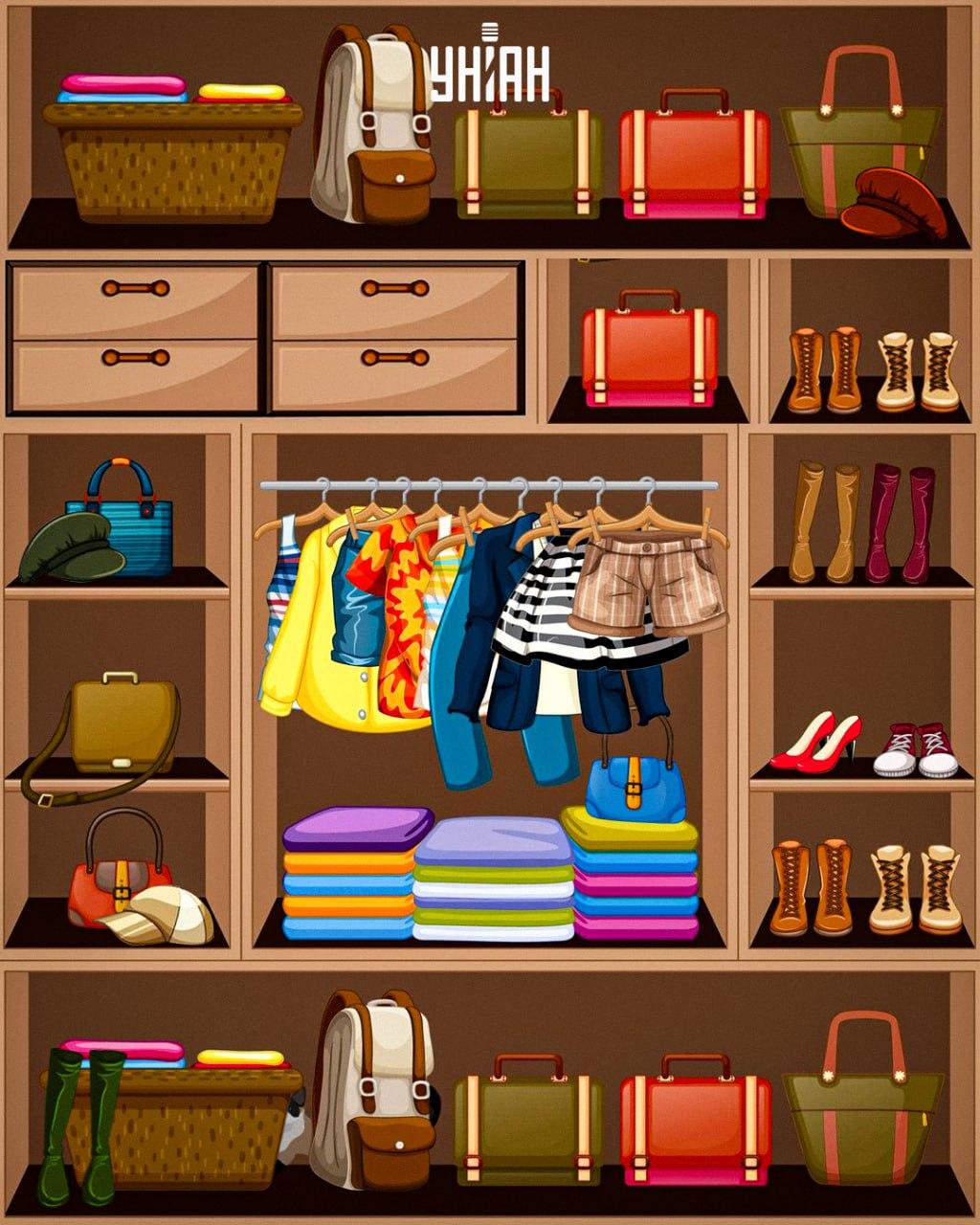 Reikia rasti gudrią katę / koliažas Moje