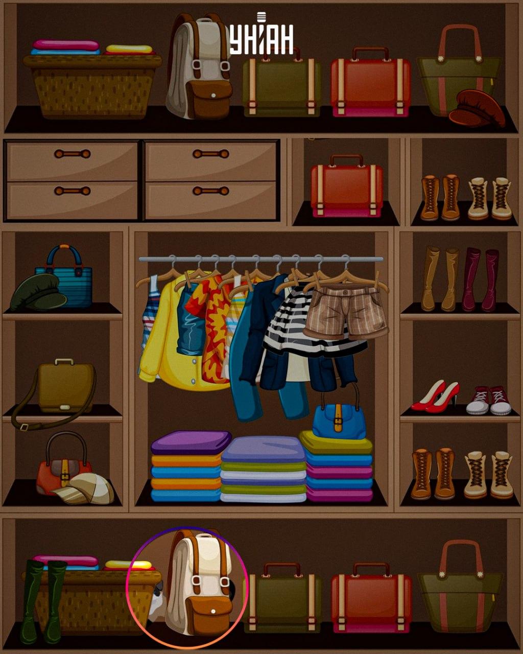 Klastingas gyvūnas buvo patalpintas paveikslėlio apačioje / koliažas Moje