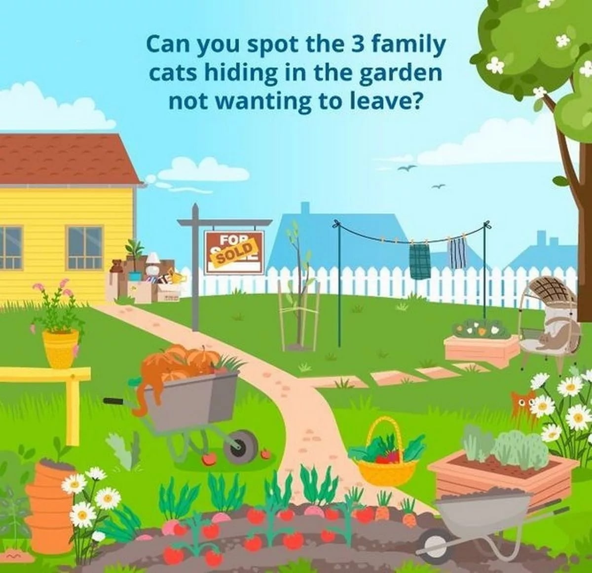 Šiame paveikslėlyje slepiasi trys gudrios katės