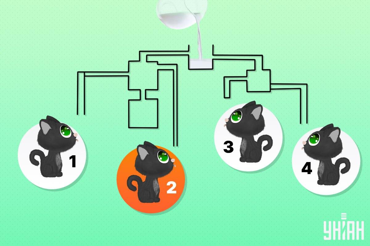 Laiminga katė buvo numeris 2 / Moje koliažas