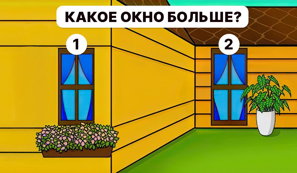 Reikia suprasti, kuris langas yra didesnis / Moje koliažas