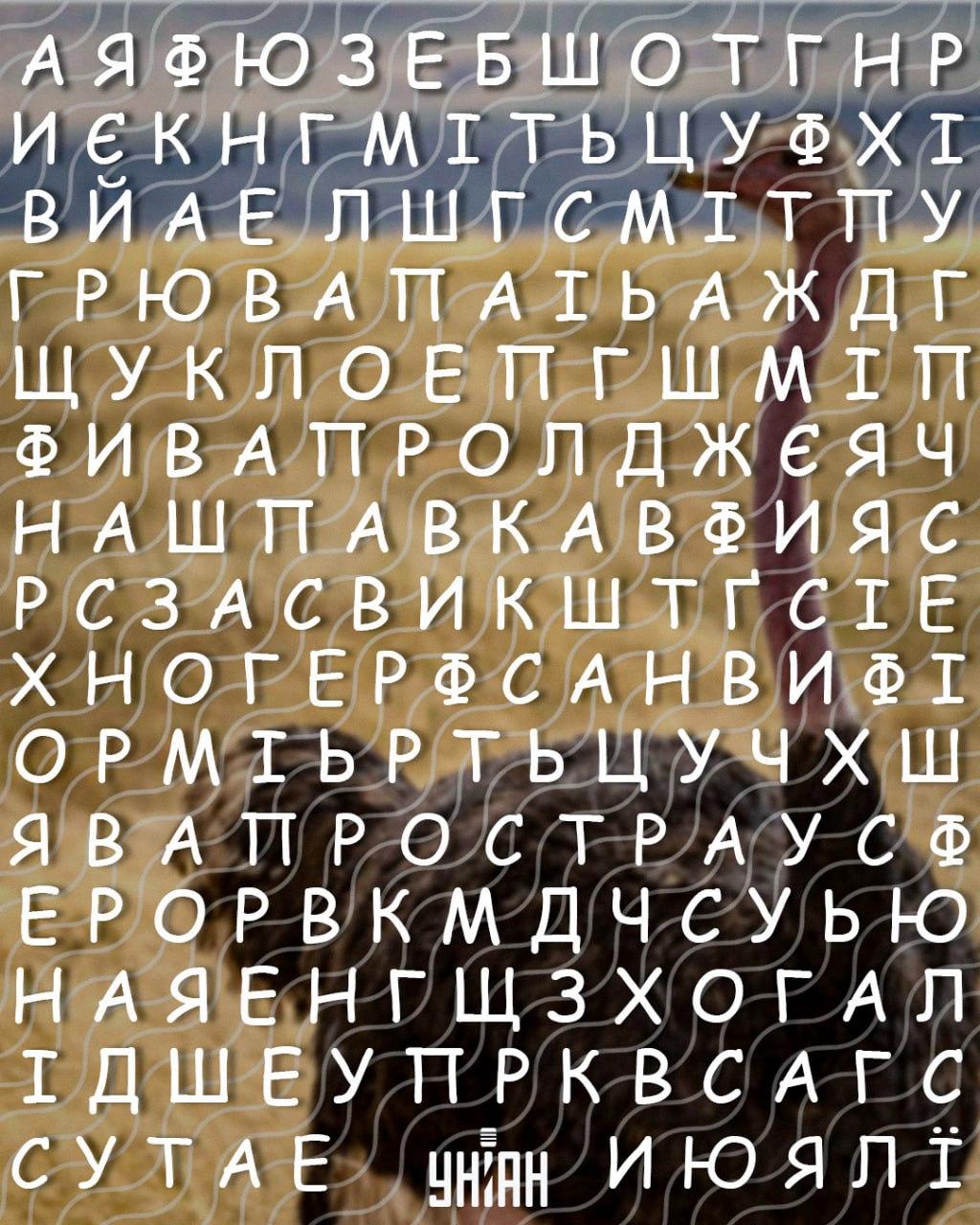 Tik aukštą IQ turintys žmonės gali rasti žodį Tik aukštą intelekto koeficientą turintys žmonės per 10 sekundžių gali rasti žodį