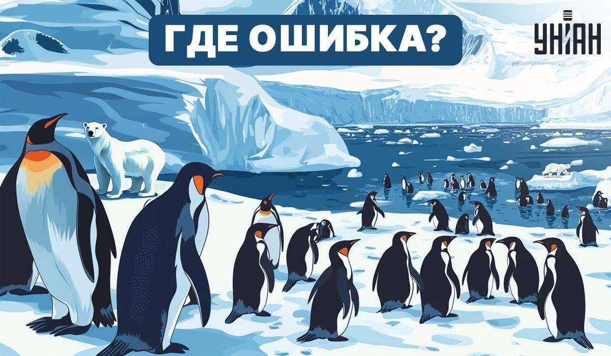 Ar galite išsiaiškinti, kas paveikslėlyje ne taip? / Moje