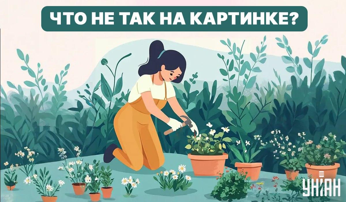 Pabandykite rasti klaidą / Koliažas - Moje