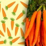 "Keistą" morką ras tik "erelio žvilgsnį" turintys žmonės: mįslė, kuri jums užmins mįslę „Keistą” morką ras tik „erelio žvilgsnį” turintys žmonės: mįslė, kuri