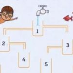 Kuris ąsotis pirmas prisipildys vandens: sąmoningumo dėlionė Kuris ąsotis pirmas prisipildys vandens: sąmoningumo dėlionė