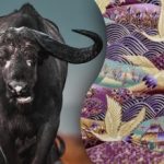 Per 15 sekundžių suraskite paveikslėlyje pavaizduotą jautį: mįslė atidžiausiems žmonėms Per 15 sekundžių suraskite paveikslėlyje pavaizduotą jautį: mįslė atidžiausiems žmonėms