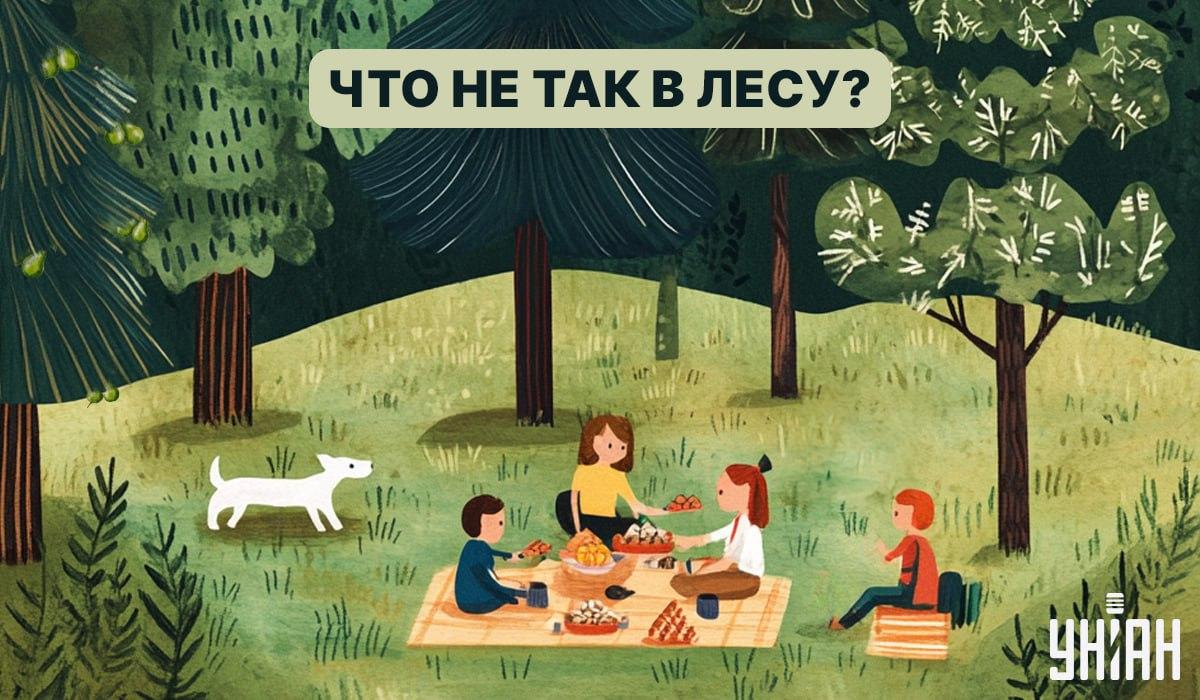 Suraskite klaidą miške per 5 sekundes: greitas IQ patikrinimo testas