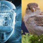 Žvirblį per 11 sekundžių suras tik fantastišką IQ turintys žmonės: sudėtinga optinė iliuzija Žvirblį per 11 sekundžių suras tik fantastišką IQ turintys žmonės: